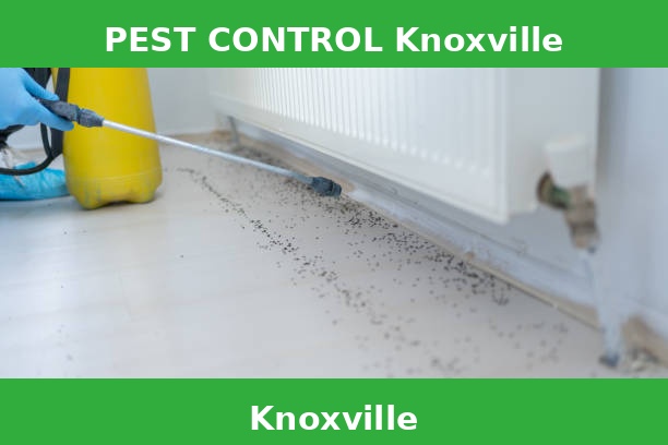 PEST CONTROL Knoxville